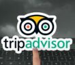 Einblicke in die Nutzung der Tripadvisor-Plattform für bessere Reiseentscheidungen. (Foto: AdobeStock - 572591520 Bilal Ulker)